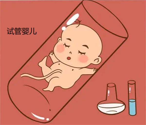 试管知识