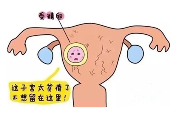 腺肌症对胚胎着床有哪些影响