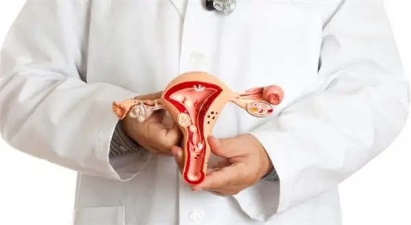 腺肌症会降低试管婴儿成功率吗?