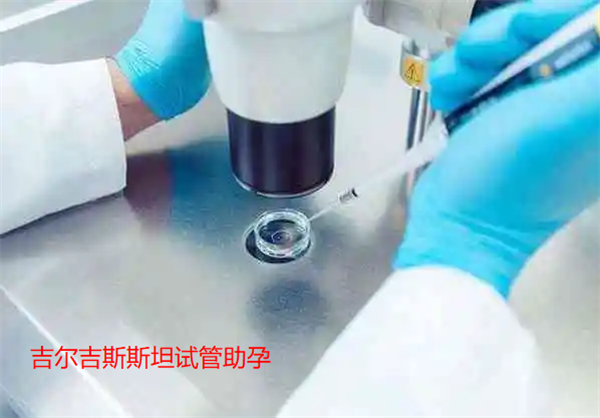 吉尔吉斯斯坦试管婴儿：科学备孕更有利于提高试管婴儿的成功率