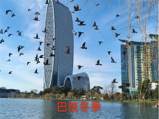 17450431022418.png