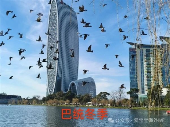 去格鲁吉亚巴统做试管需要选择季节吗?
