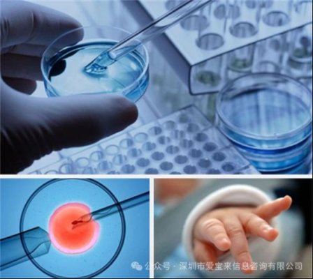 去格鲁吉亚第比利斯试管前备孕需要注意哪些事项?