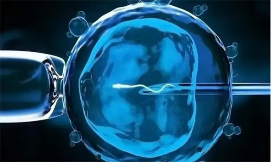 17450468963199.png