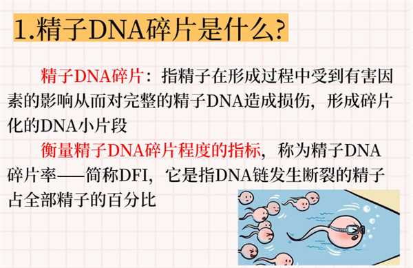 微信图片_20250419152630.png