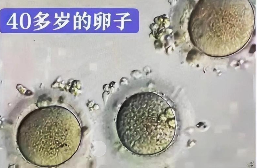 微信截图_20250428103044.png