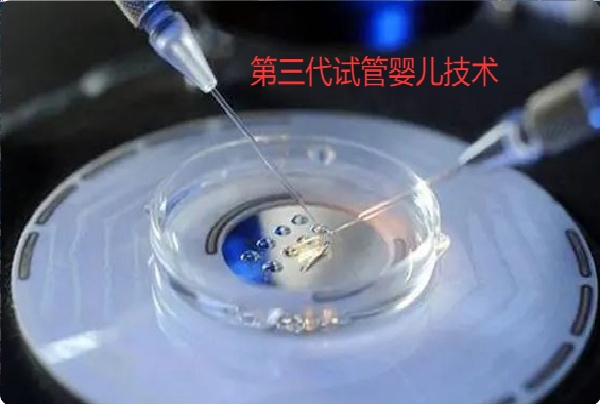 微信图片_20250425120715.jpg