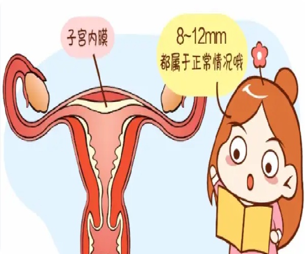 微信图片_20250429150554.jpg