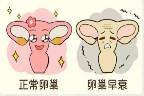 卵巢早衰不是“更年期提前”，而是健康危机