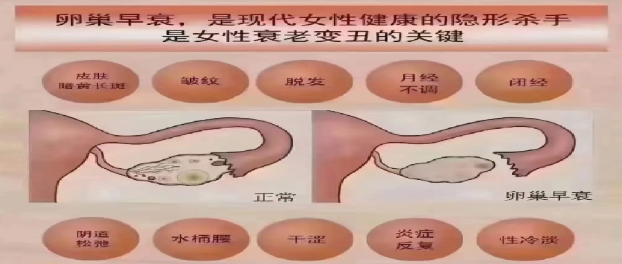 微信截图_20250430150026.jpg