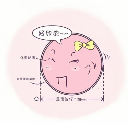 揭秘，为什么取卵数≠受精数呢?