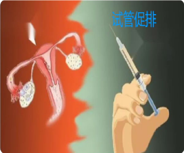 微信图片_20250424162638.png