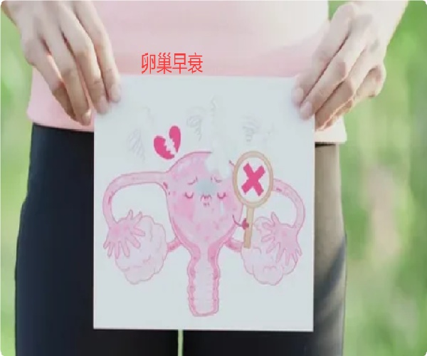 高龄女性人群可以通过三代试管获得成功么?