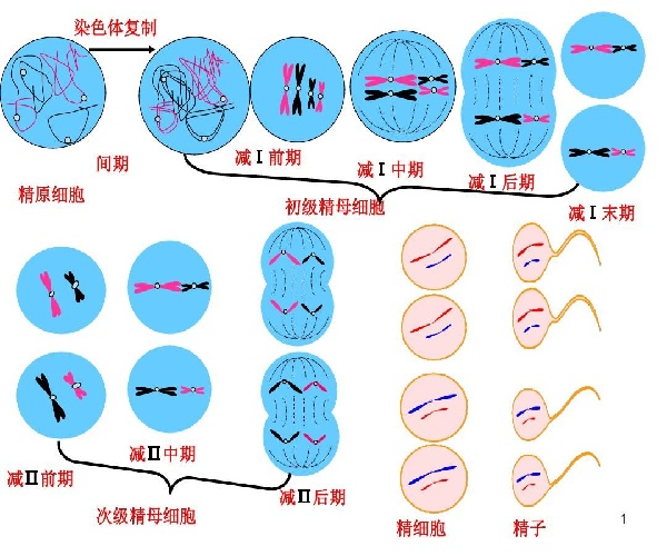 微信图片_20250510172423.jpg