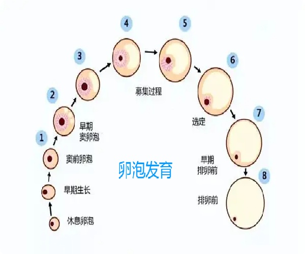 微信图片_20250510172354.jpg