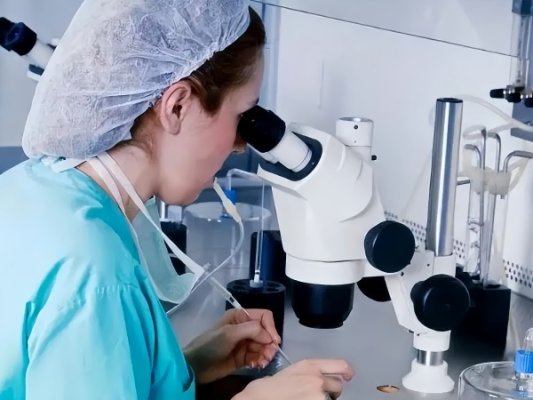 试管婴儿：取卵后需要注意什么