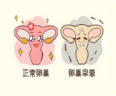 卵巢早衰去吉尔吉斯斯坦做试管需要提前注意哪些事项?