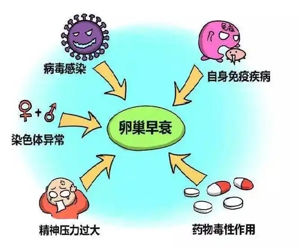 微信图片_20250516111136.jpg
