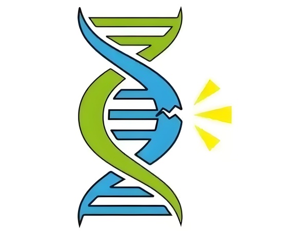 ec391889-b3e4-473a-8f0e-a8b44ba1db80.jpg