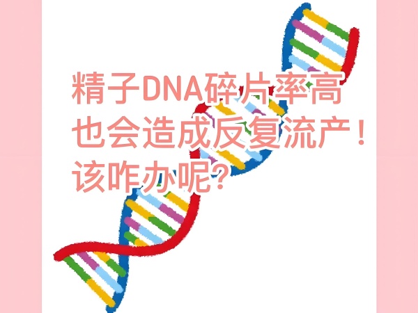 df4eedc2-82c3-4d95-b0ef-fd3e65f266cb.jpg