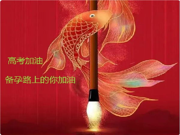 十年磨一剑，今朝试锋芒!高考加油，备孕路上的你加油!