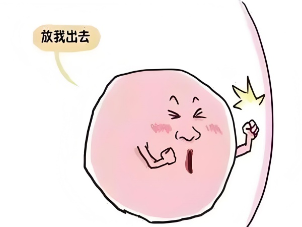 94e7a7d9-63f4-4bad-b62e-673e27bf5166.jpg