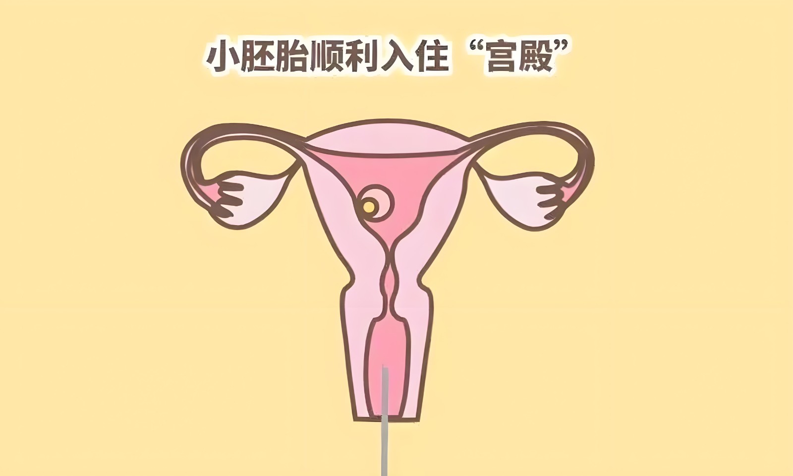 0d65e6be-be2b-4248-98cd-657899a8a9c5.jpg