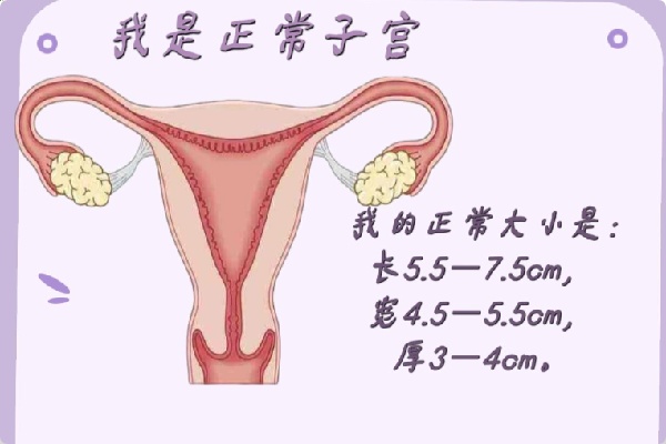 微信图片_20250618194408.jpg