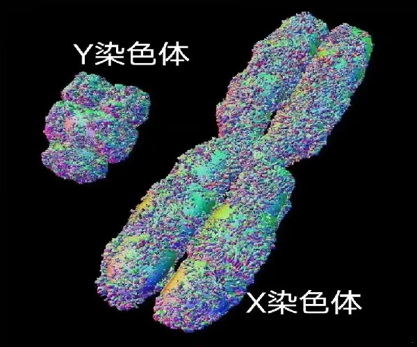 微信图片_20250618191943.jpg