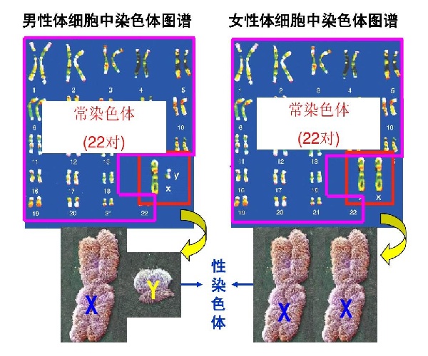 微信图片_20250618191957.jpg