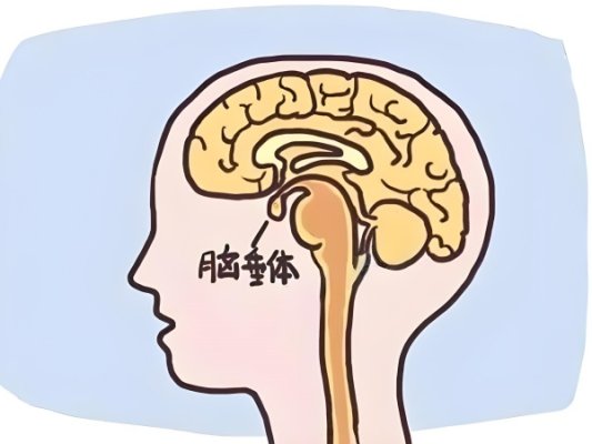 做试管泌乳素高，有什么影响?