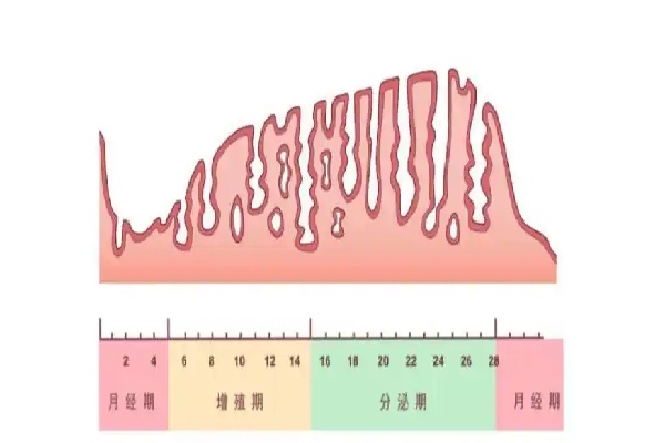 微信图片_20250626191544.jpg