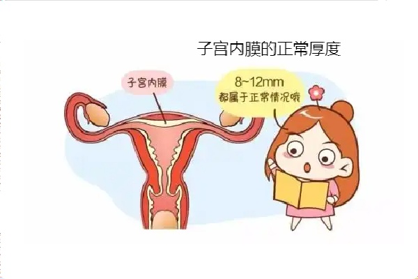 微信图片_20250626191537.jpg