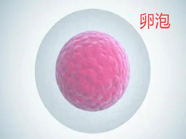 微信图片_20250628184155.jpg