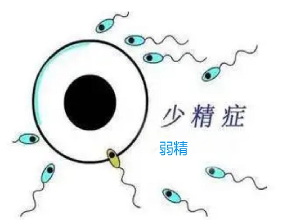 微信图片_20250629172209.jpg