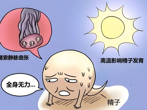 f76f5d44-cde3-4dfb-a9a4-66d69375057f.jpg