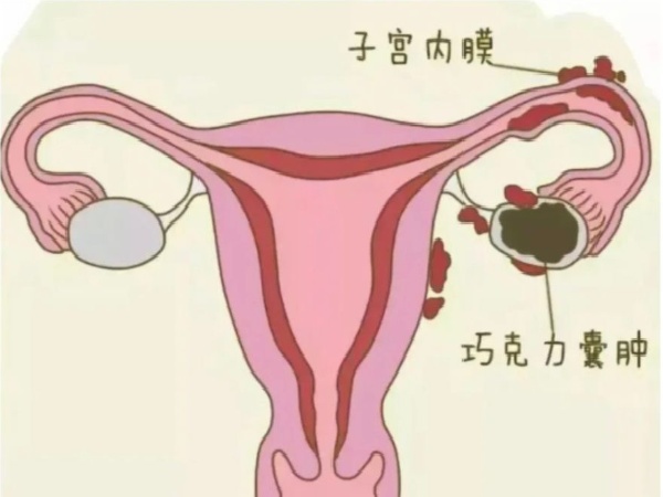微信图片_20250701182011.jpg