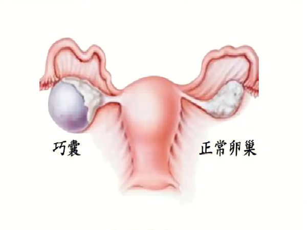 微信图片_20250701182030.jpg