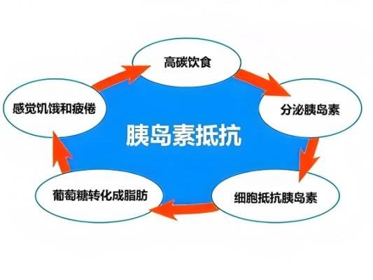 多囊试管查胰岛素抵抗的意义