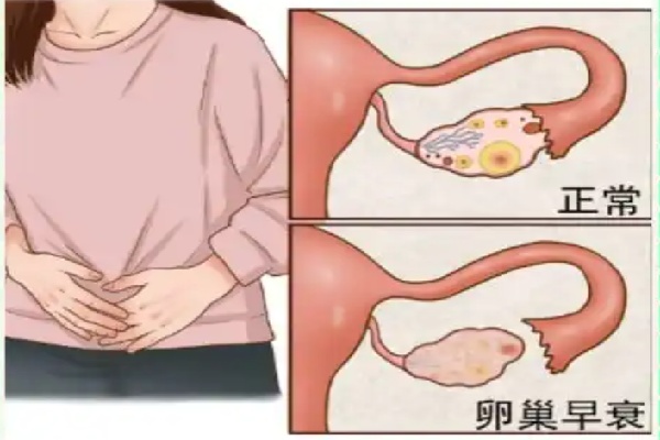 微信图片_20250627194905.jpg
