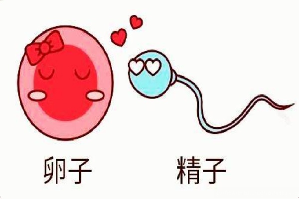 微信图片_20250602194539.jpg