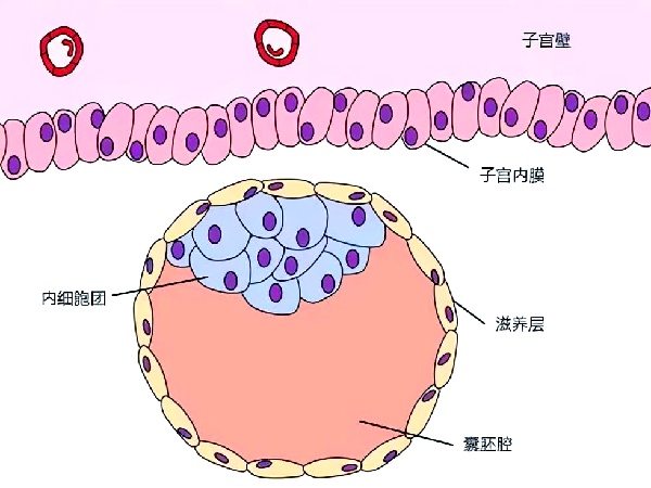 微信图片_20250830113700_208_491.jpg