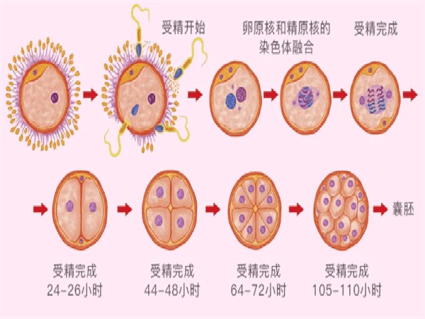 微信图片_20250830113438_202_491.jpg