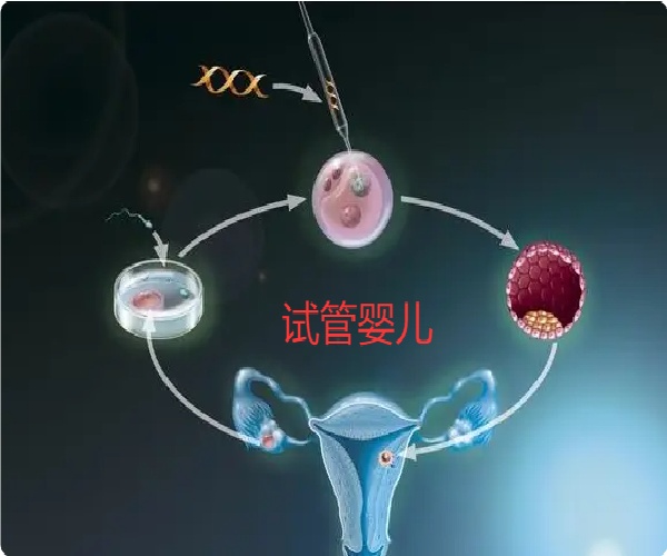 微信图片_20250617101922.jpg