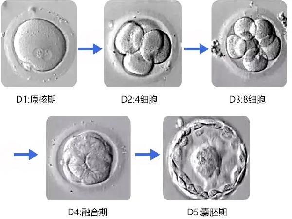 微信图片_20250901175509_220_491.jpg