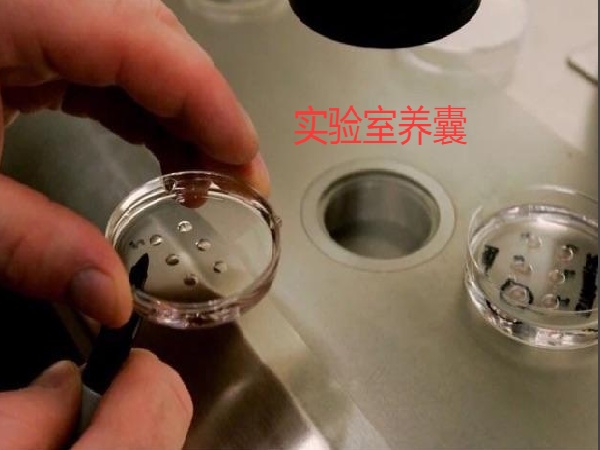 微信图片_20250901175716_223_491.jpg