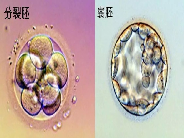 微信图片_20250901175600_221_491.jpg