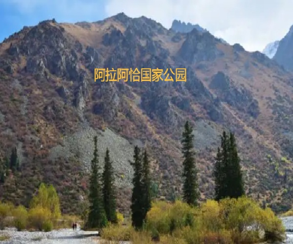 微信图片_20250902170048_241_491.jpg