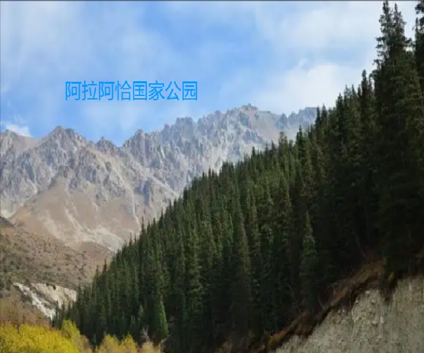 微信图片_20250902170127_242_491.jpg