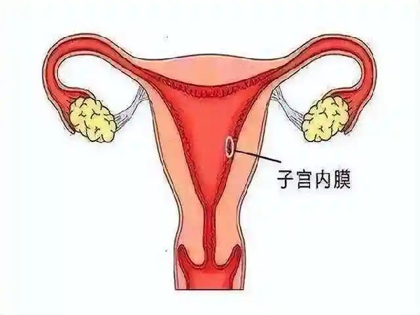 微信图片_20250904190803_270_491.jpg